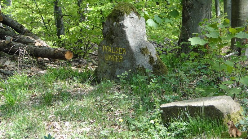 Ritterstein Nr. 019-5b Pfälzer Unger.JPG - Ritterstein Nr.19 Pfälzer Unger